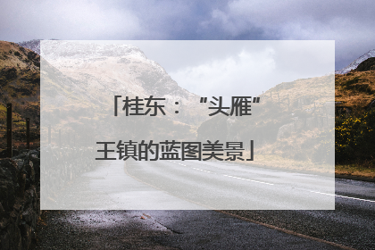 桂东：“头雁”王镇的蓝图美景