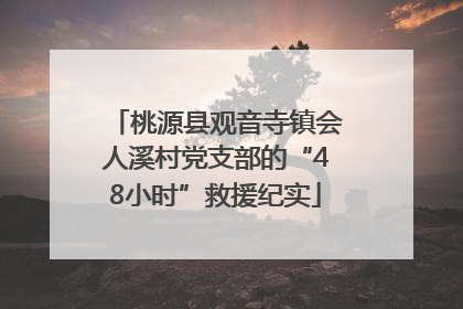 桃源县观音寺镇会人溪村党支部的“48小时”救援纪实