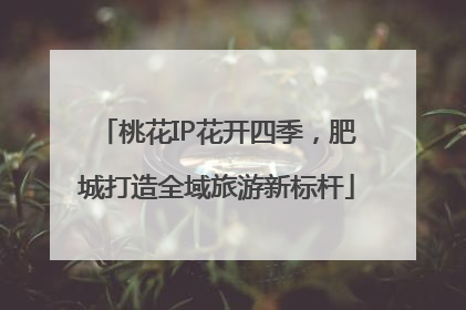 桃花IP花开四季，肥城打造全域旅游新标杆