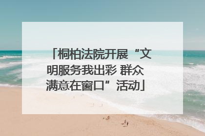 桐柏法院开展“文明服务我出彩 群众满意在窗口”活动