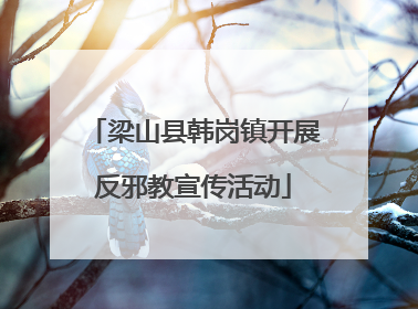 梁山县韩岗镇开展反邪教宣传活动