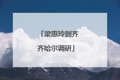 梁惠玲到齐齐哈尔调研
