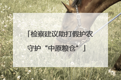 检察建议助打假护农守护“中原粮仓”