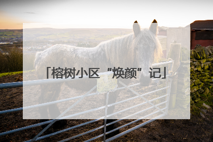 榕树小区“焕颜”记