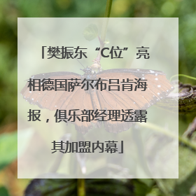 樊振东“C位”亮相德国萨尔布吕肯海报，俱乐部经理透露其加盟内幕