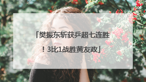 樊振东斩获乒超七连胜！3比1战胜黄友政