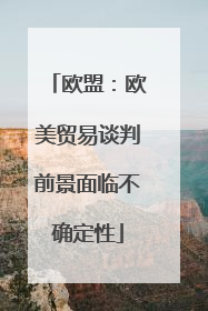 欧盟：欧美贸易谈判前景面临不确定性