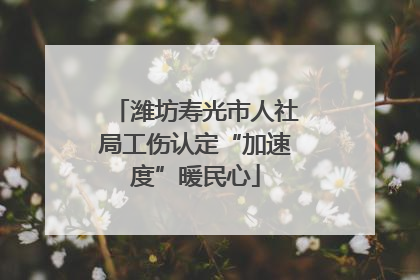 潍坊寿光市人社局工伤认定“加速度”暖民心