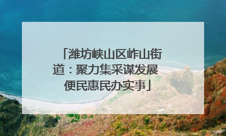 潍坊峡山区岞山街道：聚力集采谋发展 便民惠民办实事