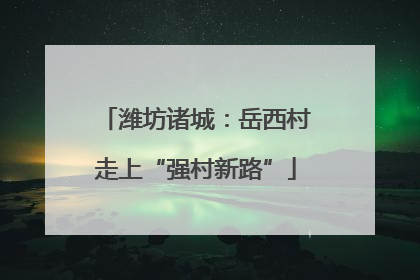 潍坊诸城：岳西村走上“强村新路”
