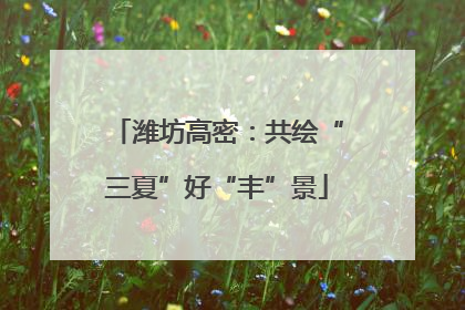 潍坊高密：共绘“三夏”好“丰”景