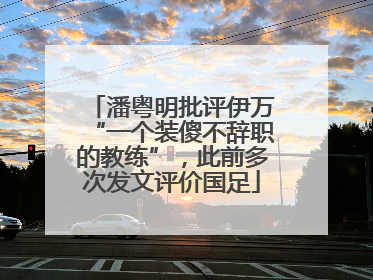 潘粤明批评伊万“一个装傻不辞职的教练”，此前多次发文评价国足
