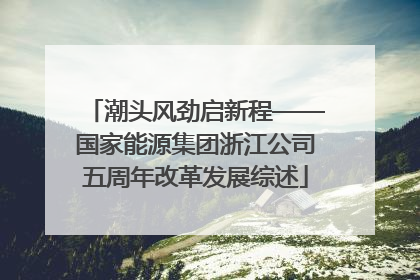 潮头风劲启新程——国家能源集团浙江公司五周年改革发展综述