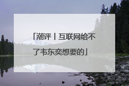 潮评丨互联网给不了韦东奕想要的