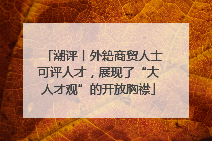 潮评丨外籍商贸人士可评人才，展现了“大人才观”的开放胸襟
