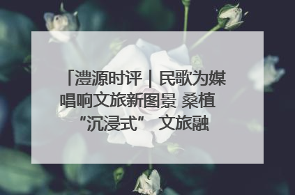 澧源时评｜民歌为媒唱响文旅新图景 桑植 “沉浸式” 文旅融合的破圈启示