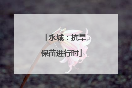 永城：抗旱保苗进行时