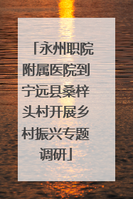 永州职院附属医院到宁远县桑梓头村开展乡村振兴专题调研