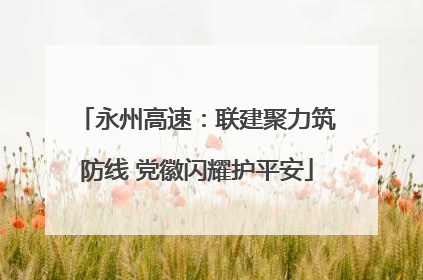 永州高速：联建聚力筑防线 党徽闪耀护平安