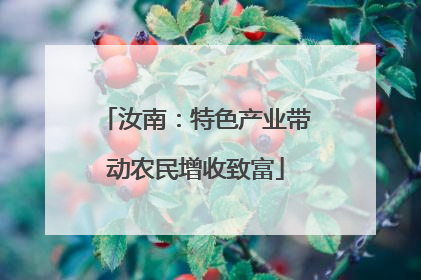 汝南：特色产业带动农民增收致富