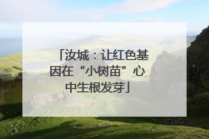 汝城：让红色基因在“小树苗”心中生根发芽