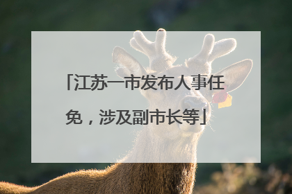 江苏一市发布人事任免，涉及副市长等