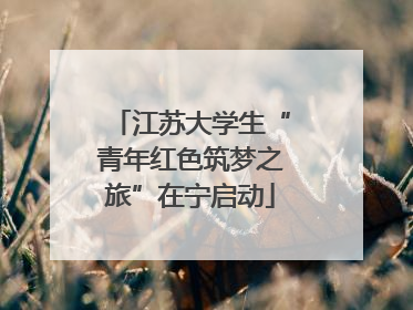 江苏大学生“青年红色筑梦之旅”在宁启动