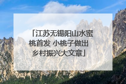 江苏无锡阳山水蜜桃首发 小桃子做出乡村振兴大文章