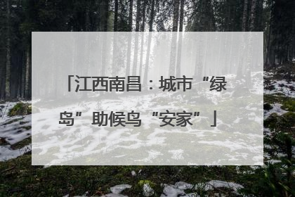 江西南昌：城市“绿岛”助候鸟“安家”