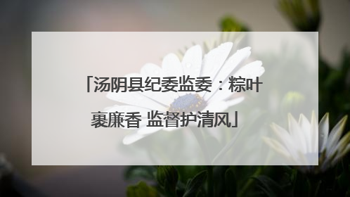 汤阴县纪委监委：粽叶裹廉香 监督护清风
