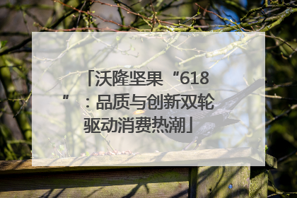 沃隆坚果“618”：品质与创新双轮驱动消费热潮