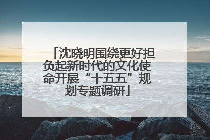 沈晓明围绕更好担负起新时代的文化使命开展“十五五”规划专题调研