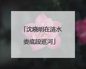 沈晓明在涟水娄底段巡河
