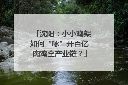 沈阳：小小鸡架如何“啄”开百亿肉鸡全产业链？