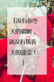没有你冬天的调解，就没有我春天的菠菜！