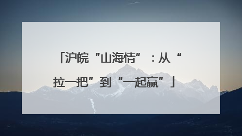 沪皖“山海情”：从“拉一把”到“一起赢”