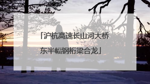 沪杭高速长山河大桥东半幅钢桁梁合龙