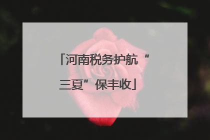 河南税务护航“三夏”保丰收