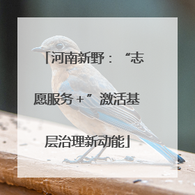 河南新野：“志愿服务＋”激活基层治理新动能