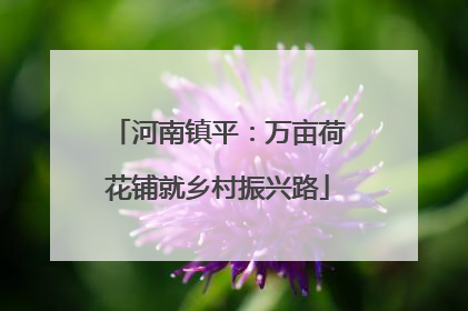 河南镇平：万亩荷花铺就乡村振兴路