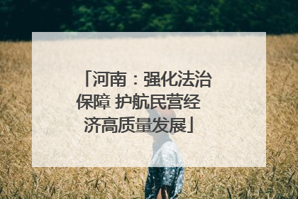 河南：强化法治保障 护航民营经济高质量发展