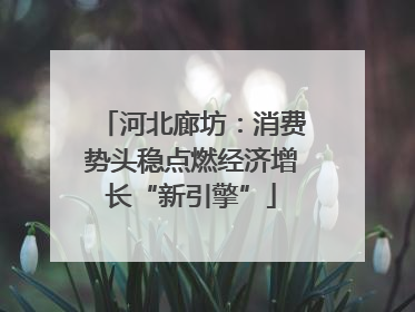 河北廊坊：消费势头稳点燃经济增长“新引擎”