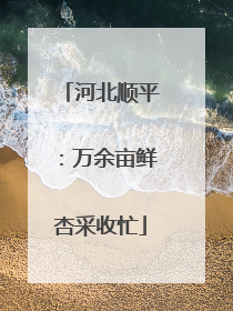 河北顺平：万余亩鲜杏采收忙
