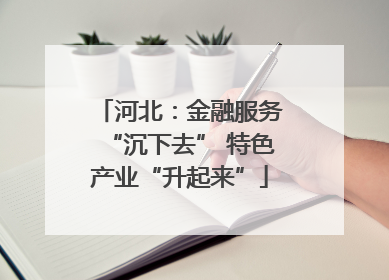 河北：金融服务“沉下去” 特色产业“升起来”