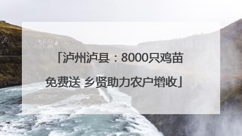 泸州泸县：8000只鸡苗免费送 乡贤助力农户增收