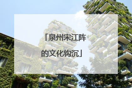 泉州宋江阵的文化钩沉