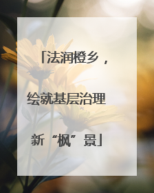 法润橙乡，绘就基层治理新“枫”景