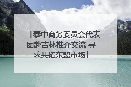 泰中商务委员会代表团赴吉林推介交流 寻求共拓东盟市场