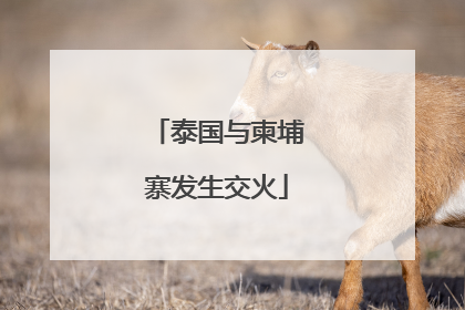 泰国与柬埔寨发生交火