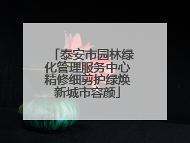 泰安市园林绿化管理服务中心精修细剪护绿焕新城市容颜